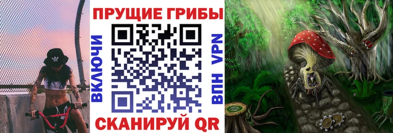 Псилоцибиновые грибы Psilocybe  магазин  наркотиков  Балахна 
