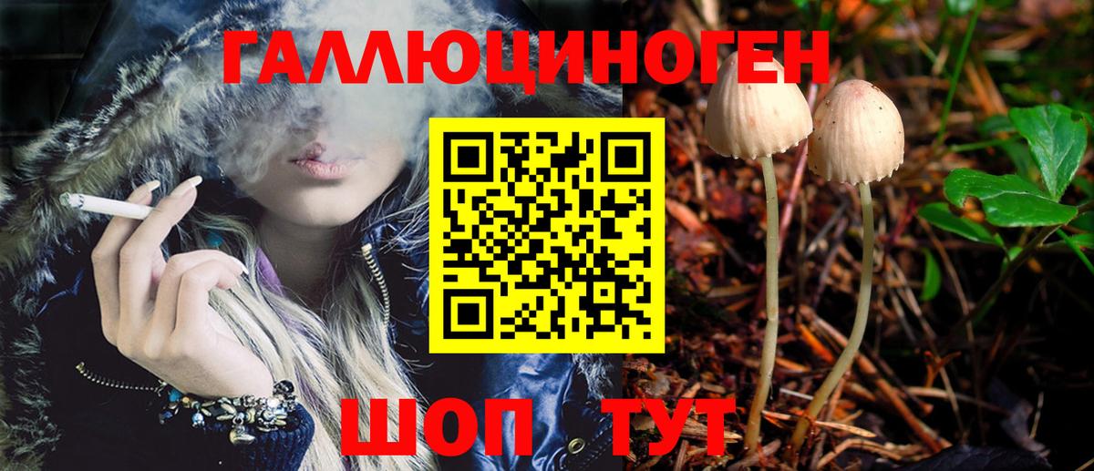 Псилоцибиновые грибы Psilocybe Балахна